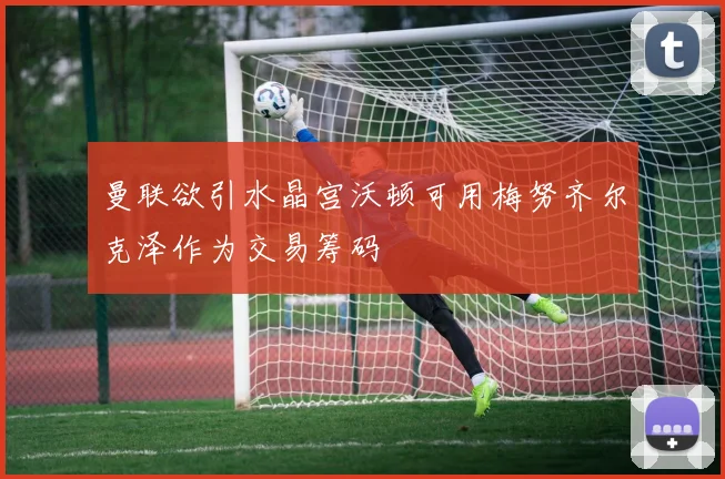 曼联欲引水晶宫沃顿可用梅努齐尔克泽作为交易筹码