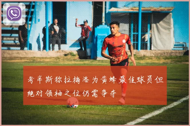 考辛斯称拉梅洛为黄蜂最佳球员但绝对领袖之位仍需争夺