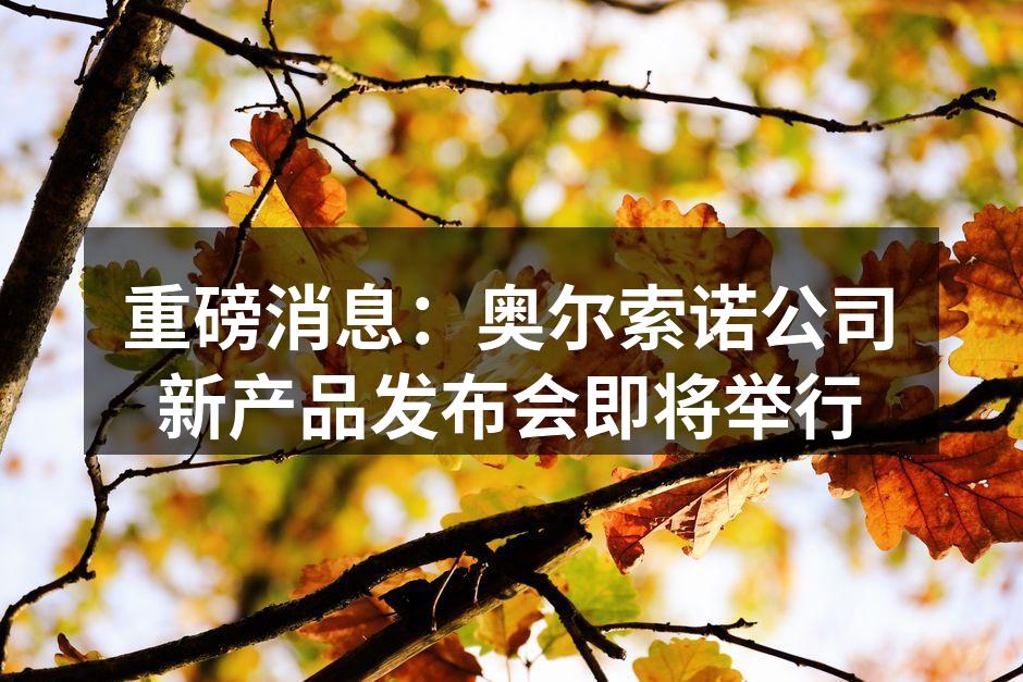 重磅消息：奥尔索诺公司新产品发布会即将举行