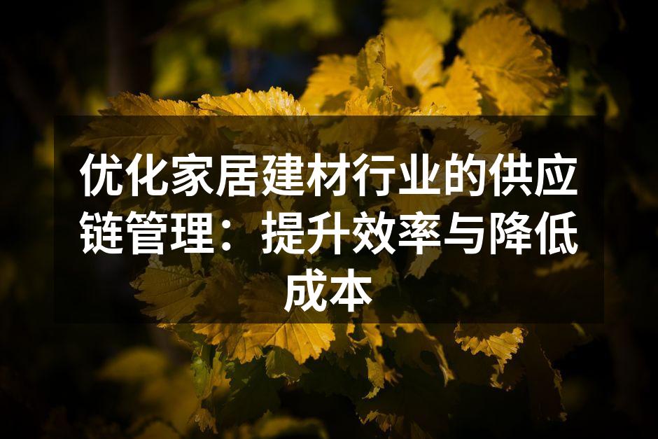优化家居建材行业的供应链管理：提升效率与降低成本