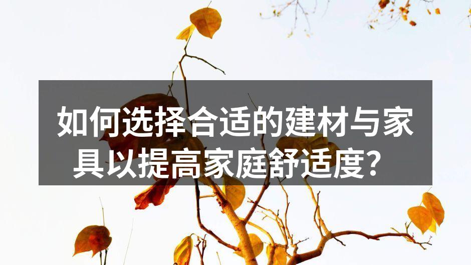 如何选择合适的建材与家具以提高家庭舒适度？